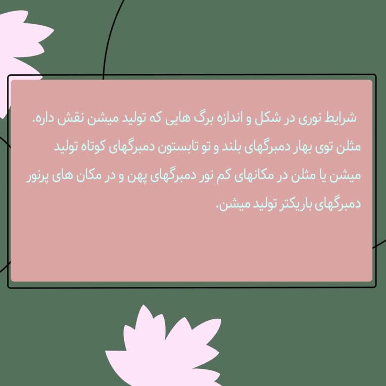 پست اسلایدی اینستاگرام