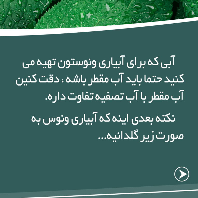 پست اسلایدی اینستاگرام