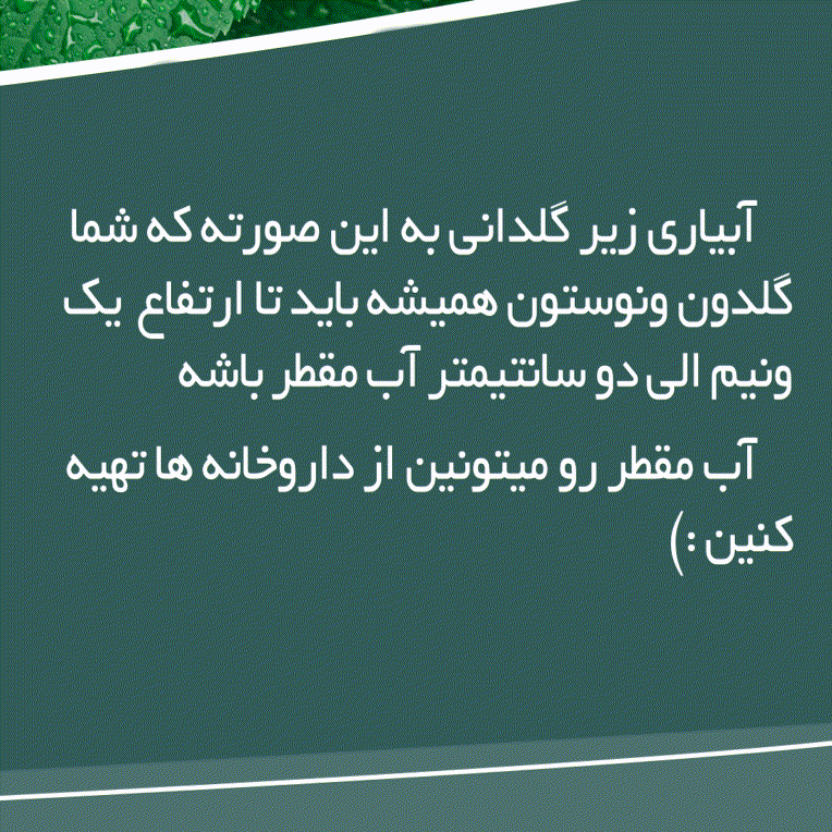 پست اسلایدی اینستاگرام