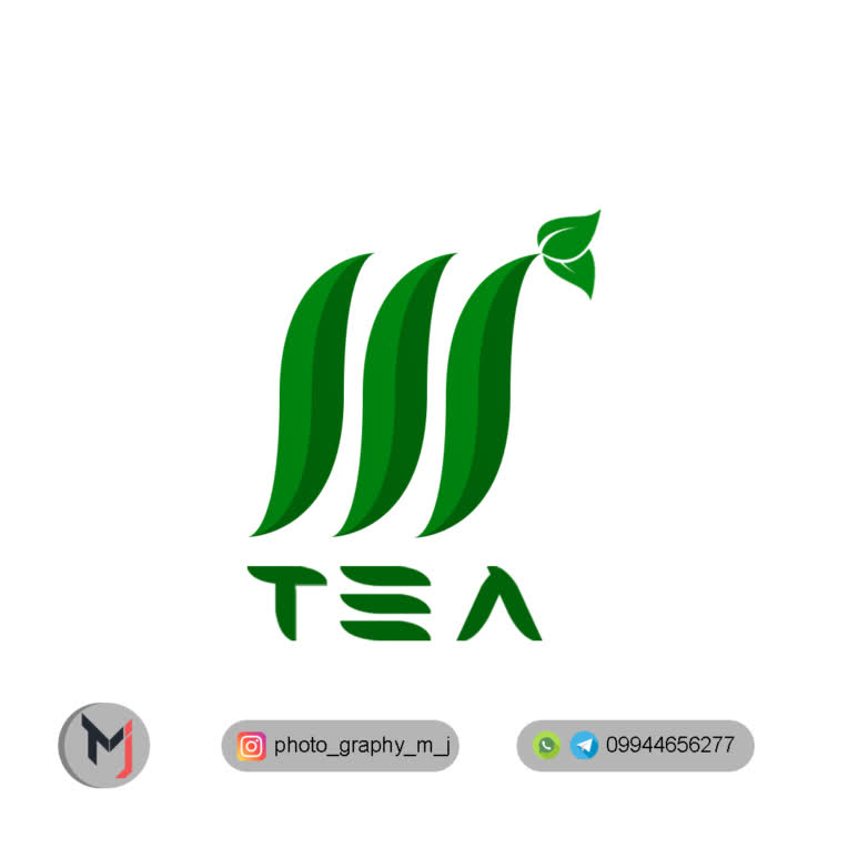 طراحی لوگو