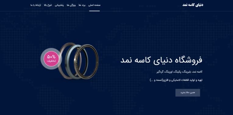 طراحی سایت دنیای کاسه نمد