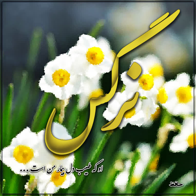 کالیگرافی اسم نرگس و طراحی پست اینستاگرام