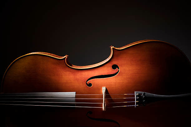 Violin-05.jpg