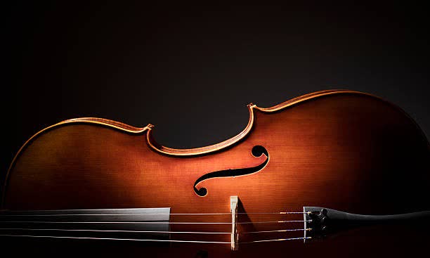 Violin-05.jpg