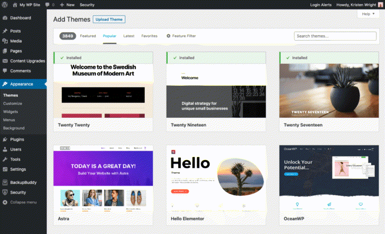 wordpress-theme-1024x625.png