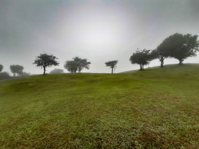 عکاسی طبیعت