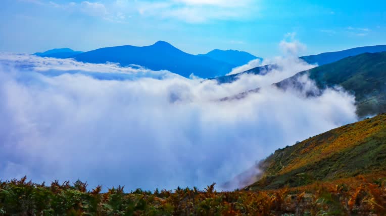 عکاسی طبیعت