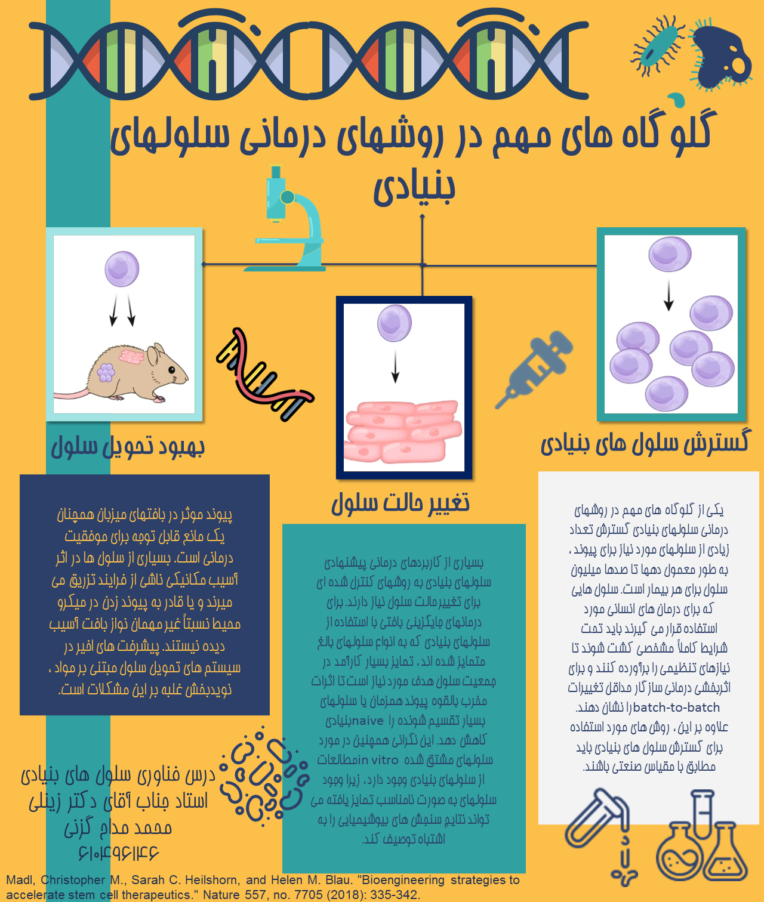 Stem cell poster.png