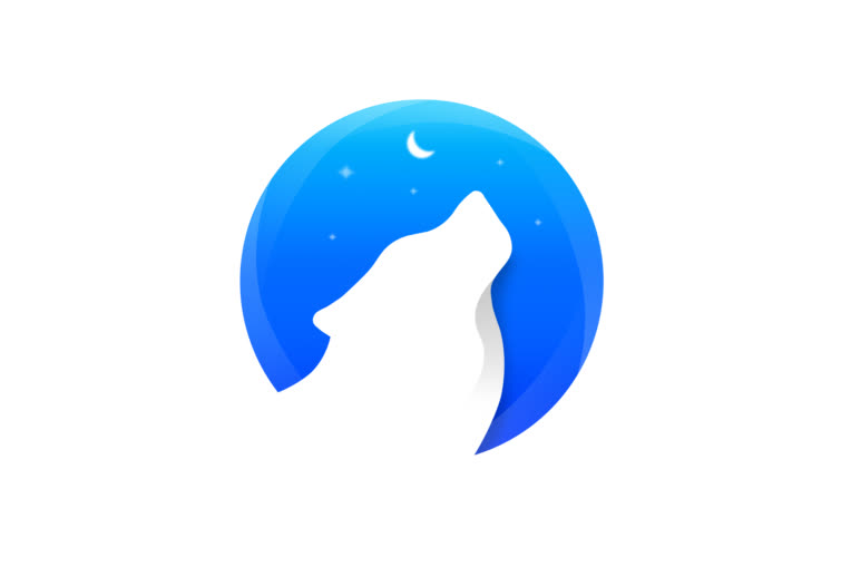 logo night wolf.jpg