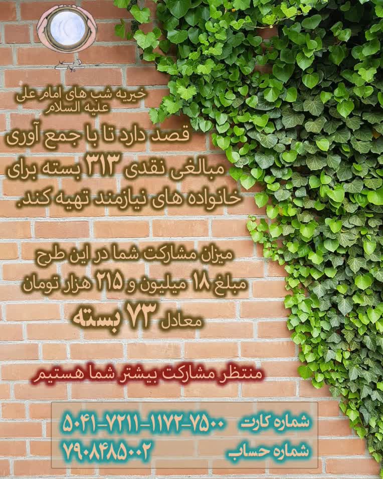 خیریه شب های علی