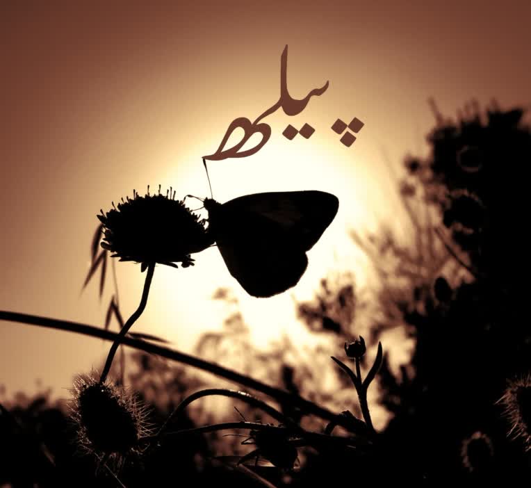 خوانش شعر سهراب سپهری