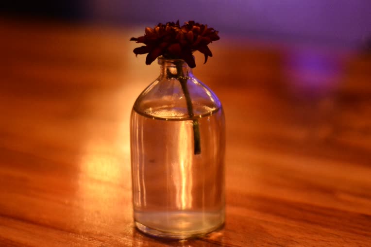عکاسی حرفه ای
