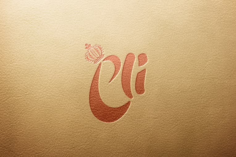 لوگو تایپ eli