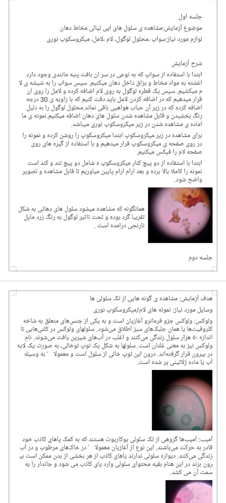 گزارش کار آزمایشگاه جانوری