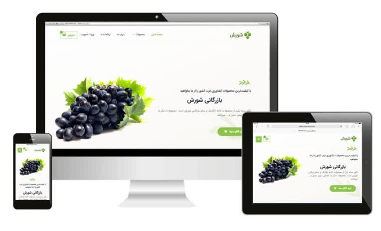 طراحی سایت + سئو داخلی و سئو خارجی