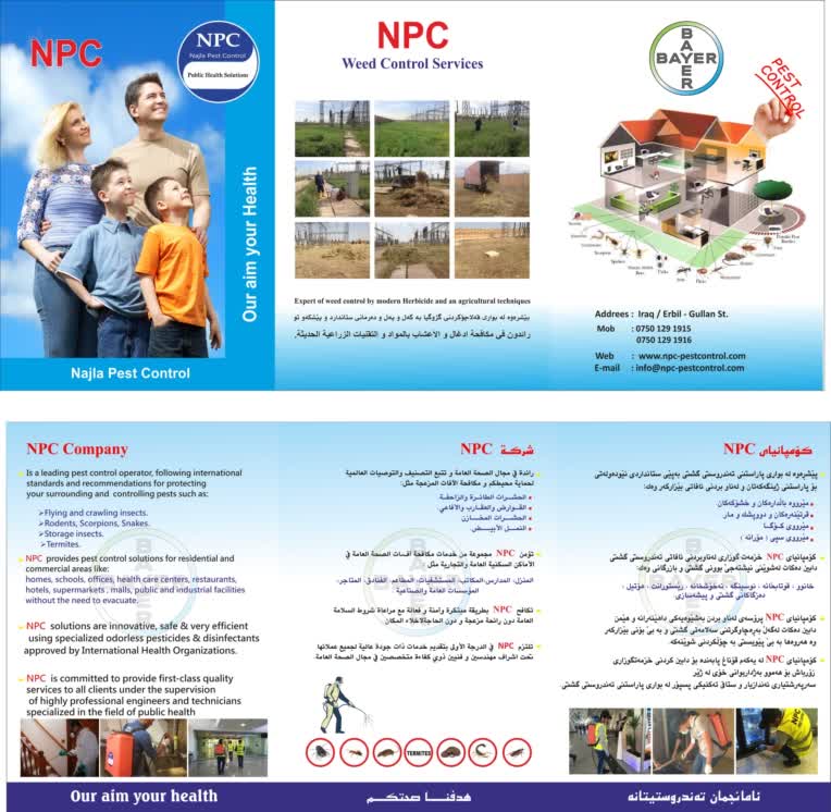 طراحی بروشور