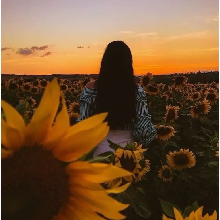 تایپیست تایپ ساده تبدیل فایل صوتی به متن نوشتن pdf