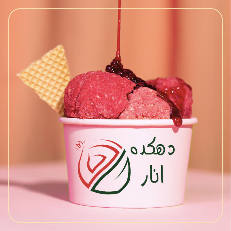طراحی لوگو برای ایستگاه تصفیه خون دهکده انار