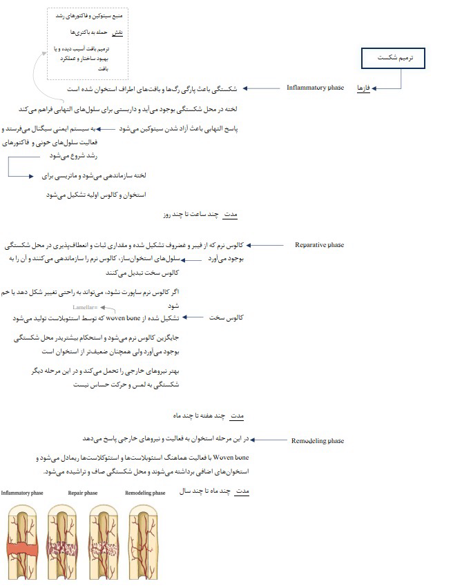 نمونه کار نمونه جزوات و تمرین های تایپ شده