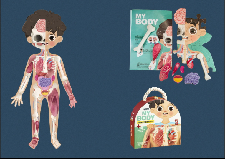 تصویرسازی پازل آموزشی MY BODY( آموزش اعضای بدن به کودک)