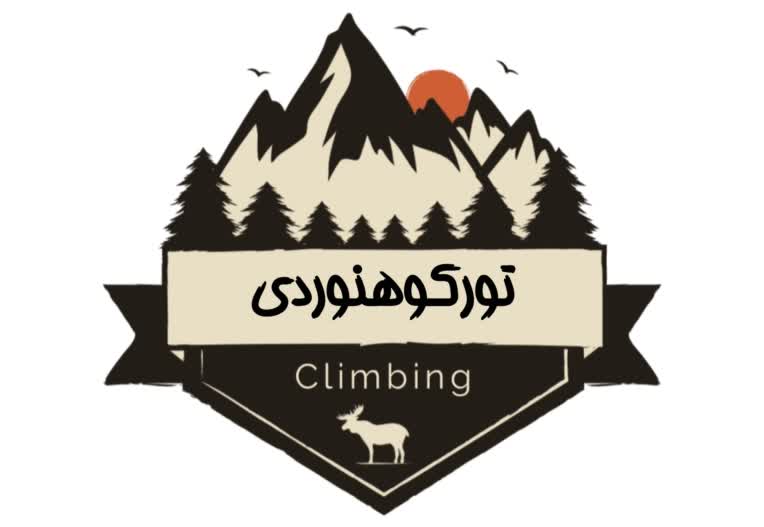 نمونه طراحی لوگو ساده و حرفه ای