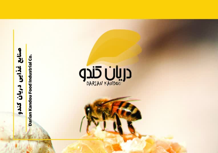 طراحی کاتالوگ تبلیغاتی صنایع غذایی دریان کندو