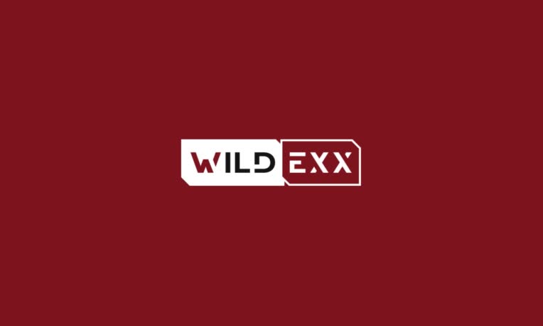 طراحی هویت بصری برند ابزارآلات WILDEXX