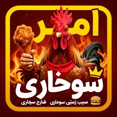 طراحی لوگو برای فست فودی امیر به اسم لوگوی امیر سوخاری
