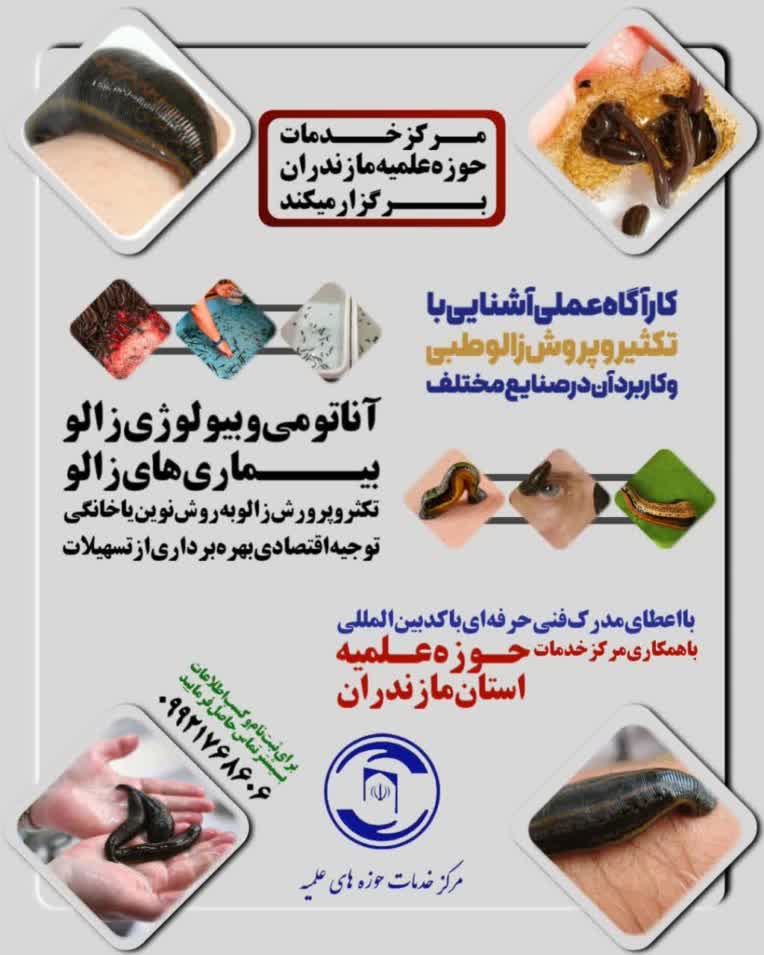طراحی تراکت تبلیغاتی کلاس زالودرمانی