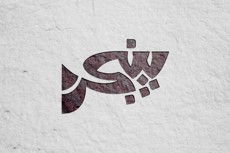 نمونه کار طراحی لوگو - طراحی لوگوتایپ - لوگوی تصویری