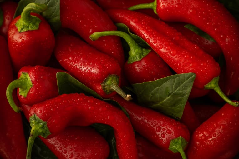 عکاسی صنعتی و تبلیغاتی و هنری و مدلینگ
