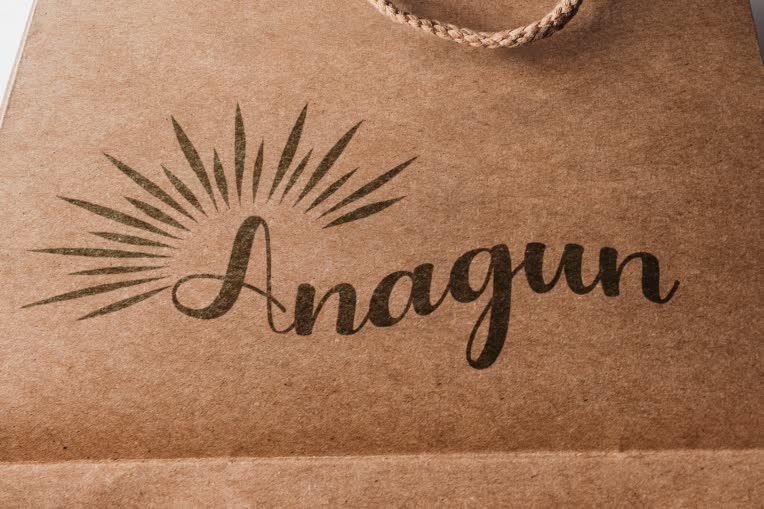 طراحی لوگو برای آنلاین شاپ (anagun).