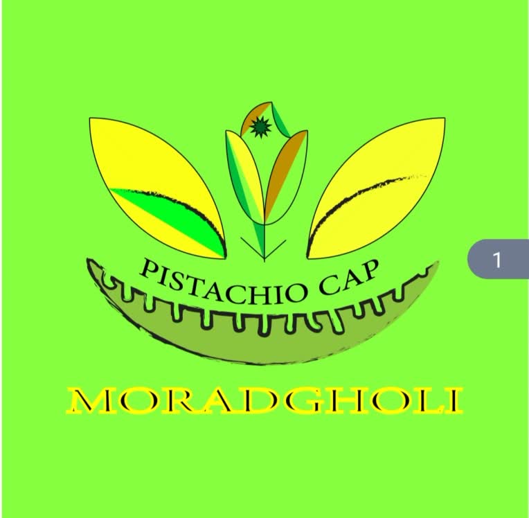لوگو طراحی و ایلوستریتور حرفه ای