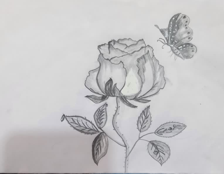 نمونه کار های نقاشی همه جوره چهره ، گل ، خانه ،همه نوع طراحی