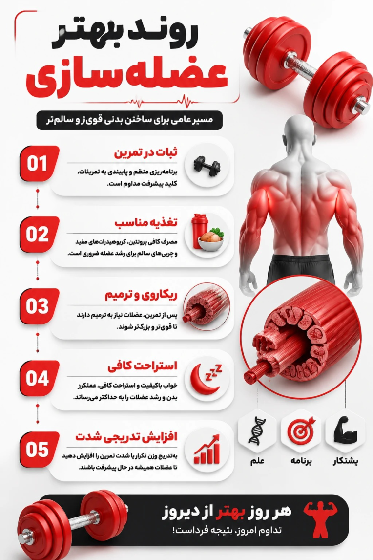 طراحی روند عضله سازی بصورت اینفوگرافی برای پیج ورزشی