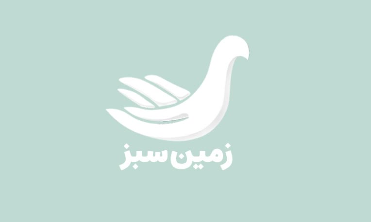 طراحی لوگو تصویری آنلاین شاپ زمین سبز