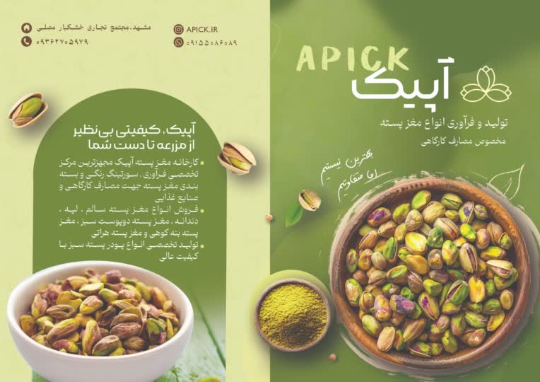 طراحی بروشور شرکت آپیک (تولید و فرآوری انواع مغز پسته)