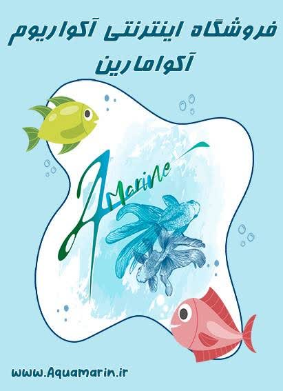پوستر طراحی شده برای سایت فروشگاهی