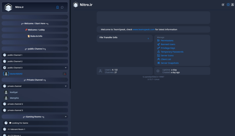 سرور teamspeak همراه با مانیتورینگ netdata