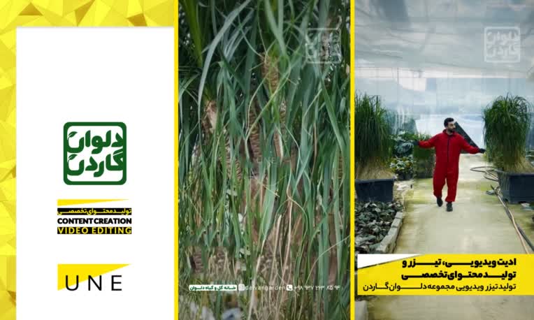 ادیت ریلز اینستاگرام - تولید محتوای تخصصی