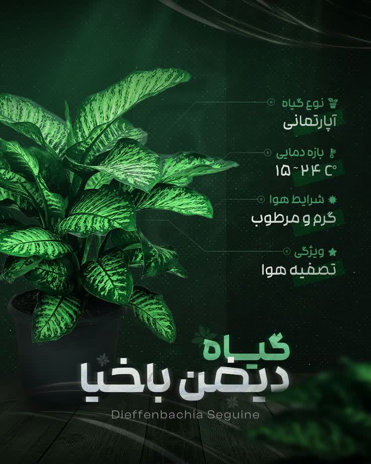 نمونه طراحی پوستر نگهداری گل و گیاه