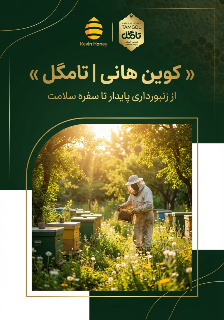 طراحی کاتالوگ محصولات زنبورعسل برند کِوین هانی و تامگل
