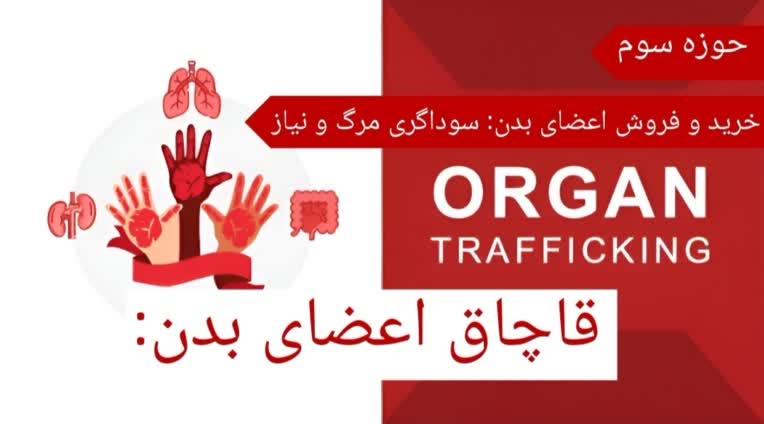 پاورپوینت ۸۰ صفحه ای ارائه حقوق