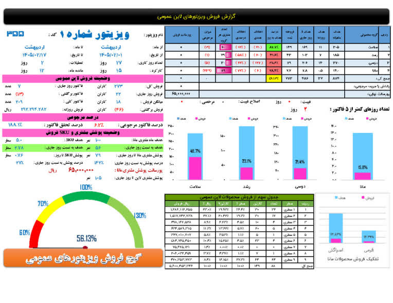 نمونه کار فروش ویزیتور و سرپرست فروش