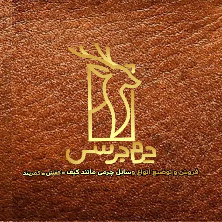 سید سبحان جلیلیان: جادوگر فتوشاپ، خالق رویاهای بصری شما!     لوگو و لوگو تایپ