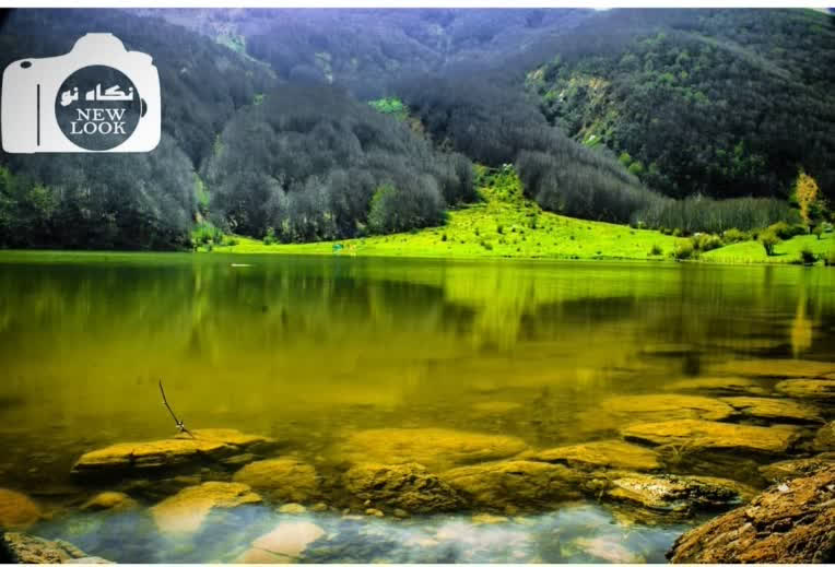 عکاسی حرفه ای در زمینه های تبلیغاتی، هنری، مدلینگ، پرتره، طبیعت و ...