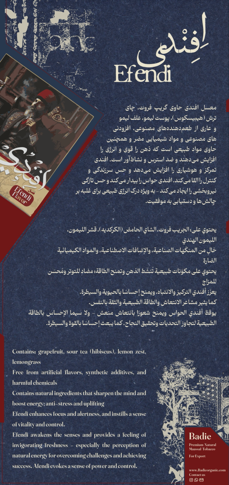 طراحی کاتالوگ - Catalogue Design