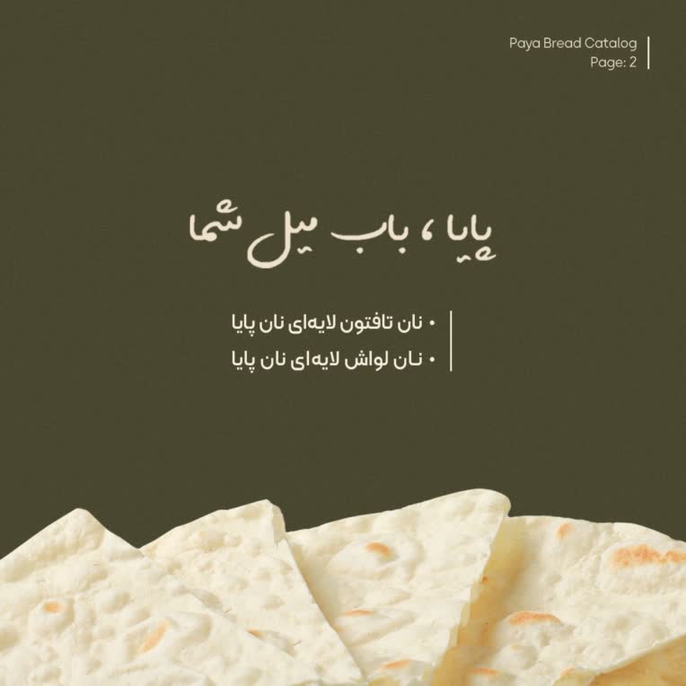طراحی کاتالوگ برای برند نان پایا و عکاسی از مصولات