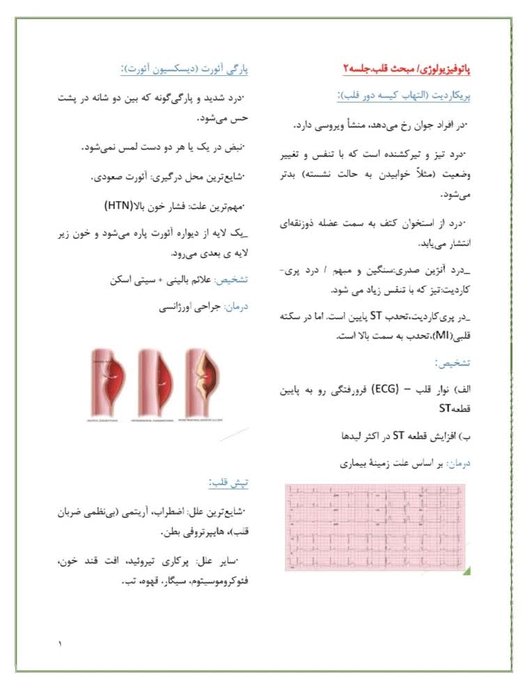 تایپ جزوه، پاورپوینت،ویس در ورد