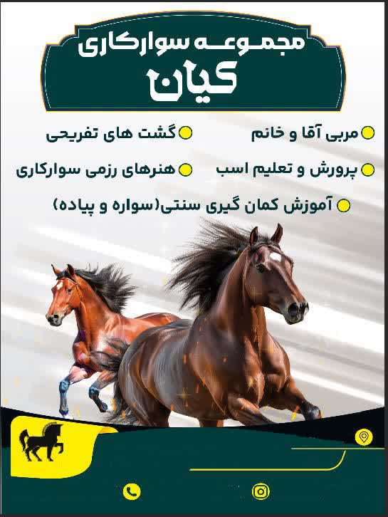 طراحی بنر تبلیغاتی مجموعه سوارکاری
